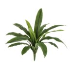 Asplenium Antiquum Kunstvaren, H: 40 cm