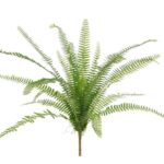 Asplenium Varen kunstplant, H: 75 cm