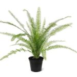 Asplenium Varen kunstplant, H: 75 cm in 12 cm pot