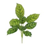 Calathea Maranta Kunstplant, H: 40 cm
