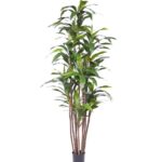 Draceana Fragrans kunstplant Deluxe, H: 210 cm
