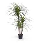 Draceana Marginata Deluxe kunstplant, H: 100 cm