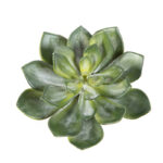 Echeveria Groen H: 15 cm - Kunstplant
