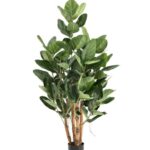 Ficus Audrey Kunstboom Deluxe, H: 120 cm