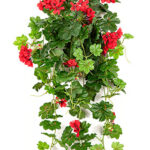 Geranium Cascade Hang Bush H: 72 cm rood - Kunstplant