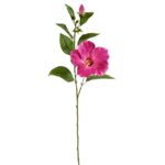 Hibiscus tak, H: 65 cm - cerise