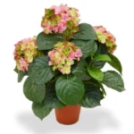 Hortensia deluxe kunstplant, H 45 cm - roze - Kunstplant