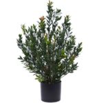 Kunst Buxus Haagplant, H: 50 cm Groen/rood