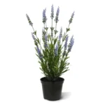 Lavendel kunstplant, H: 50 cm in pot - blauw - UV bestendig