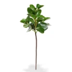 Peperomia Obtusifolia kunstbladtak, H: 50 cm