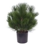 Pinus bol kunstplant, H: 45 cm - UV bestendig