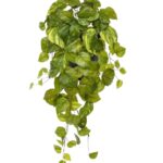 Pothos kunst hangplant, H: 55 cm - bont in pot