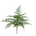 Pteris Kunst Varen, H: 40 cm