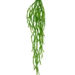 Rhipsalis Paradoxa kunst hangplant, H: 75 cm