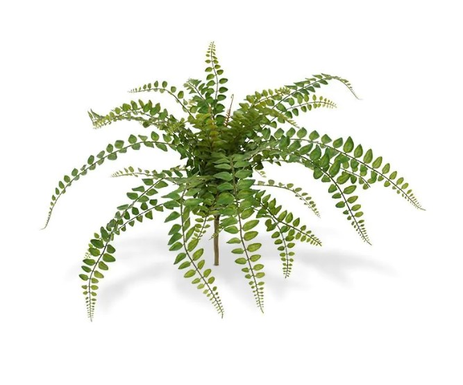 Rotundifolia Varen kunstplant, H: 55 cm