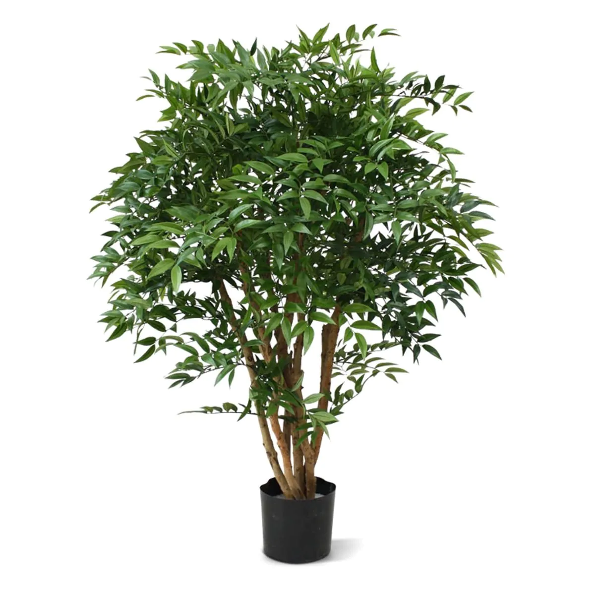Ruscus deluxe N kunstplant, H: 110 cm