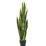Sanseveria kunstplant, H: 110 cm - bont