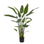 Water Canna Kunstplant, H: 120 cm