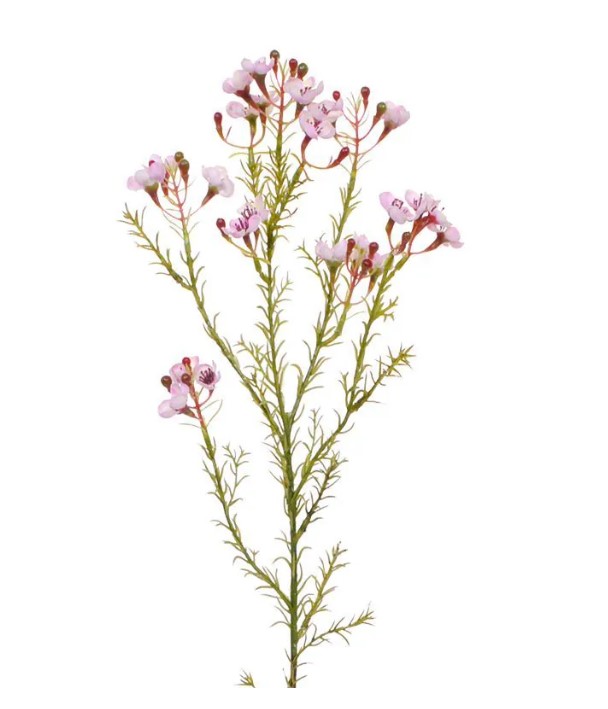 Waxflower kunsttak, H: 65 cm roze