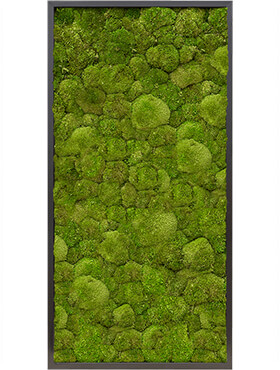 Mosschilderij, MDF RAL 9005 Zijdeglans 100% Bolmos, L: 120cm, H: 6cm, B: 60cm