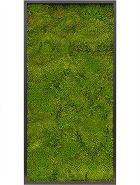Mosschilderij, MDF RAL 9005 Zijdeglans 100% Platmos, L: 120cm, H: 6cm, B: 60cm