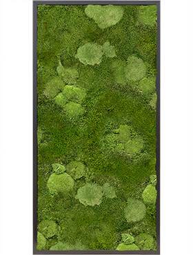 Mosschilderij, MDF RAL 9005 Zijdeglans 30% Bol- en 70% Platmos, L: 120cm, H: 6cm, B: 60cm
