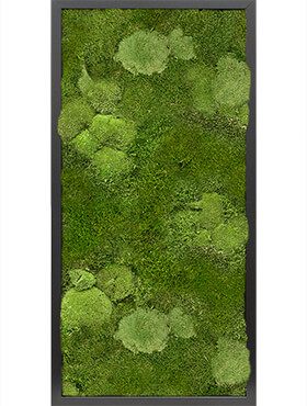 Mosschilderij, MDF RAL 9005 Zijdeglans 30% Bol- en 70% Platmos, L: 80cm, H: 6cm, B: 40cm