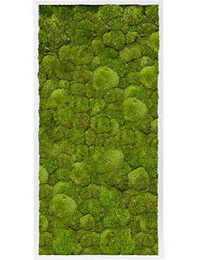 Mosschilderij, MDF RAL 9010 Zijdeglans 100% Bolmos, L: 120cm, H: 6cm, B: 60cm