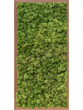 Mosschilderij, Meranti 100% Rendiermos (Midden groen), L: 80cm, H: 6cm, B: 40cm