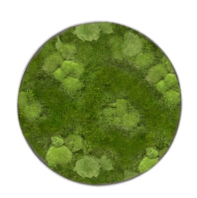 Mosschilderij, Nova Frame Natural-concrete 30% Bol- en 70% platmos, diam: 60cm, H: 5cm