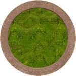 Mosschilderij, Polystone Rock 100% Platmos, diam: 80cm, H: 5cm