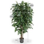Ficus Exotica deluxe kunstplant, H: 150 cm - groen - brandvertragend