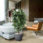 Ficus Exotica deluxe kunstplant, H: 150 cm – groen – brandvertragend