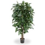 Ficus Exotica deluxe kunstplant, H: 150 cm – groen – brandvertragend