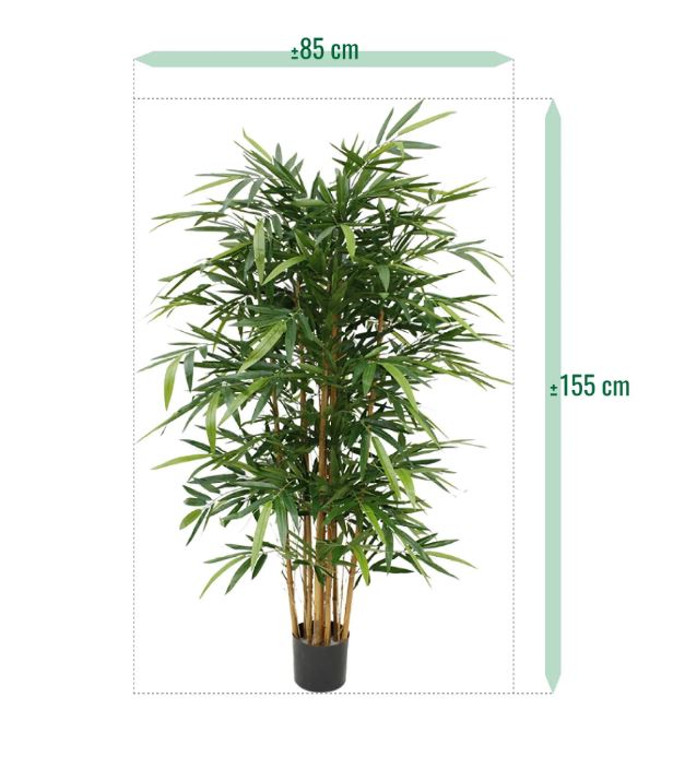 Bamboe deluxe, H: 150 cm