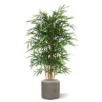 Bamboe deluxe, H: 150 cm