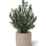 Kunst Buxus Haagplant, H: 50 cm Groen/rood