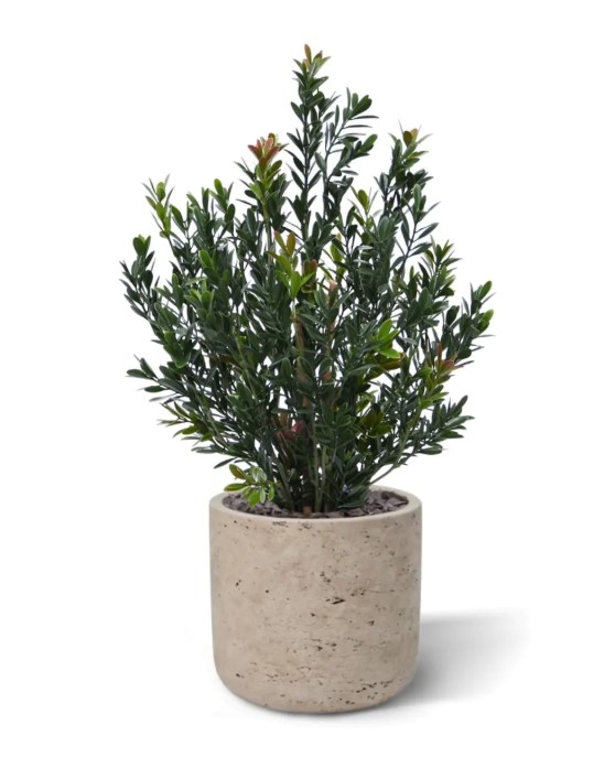 Kunst Buxus Haagplant, H: 50 cm Groen/rood