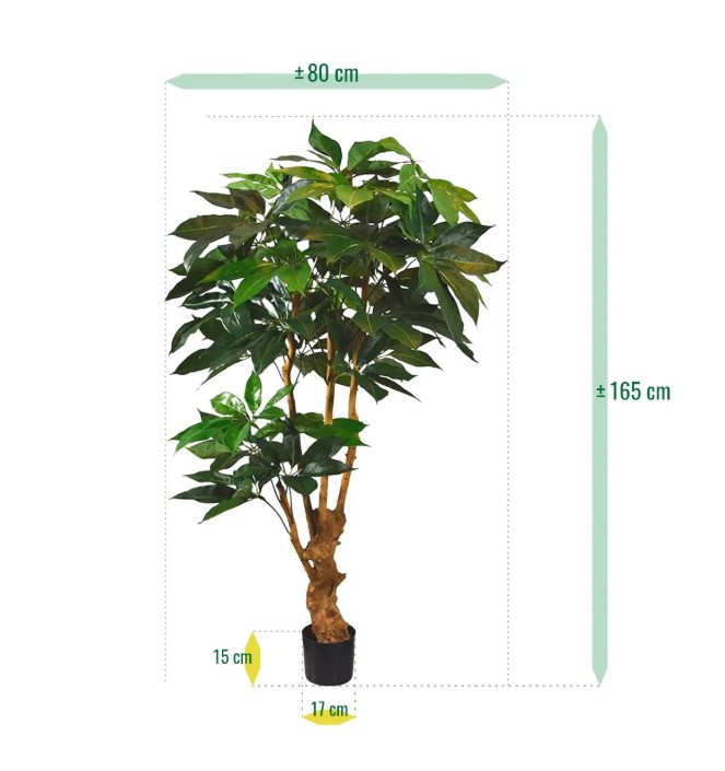 Scheflera Amate deluxe kunstboom, H: 165 cm