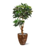 Scheflera Amate deluxe kunstboom, H: 165 cm