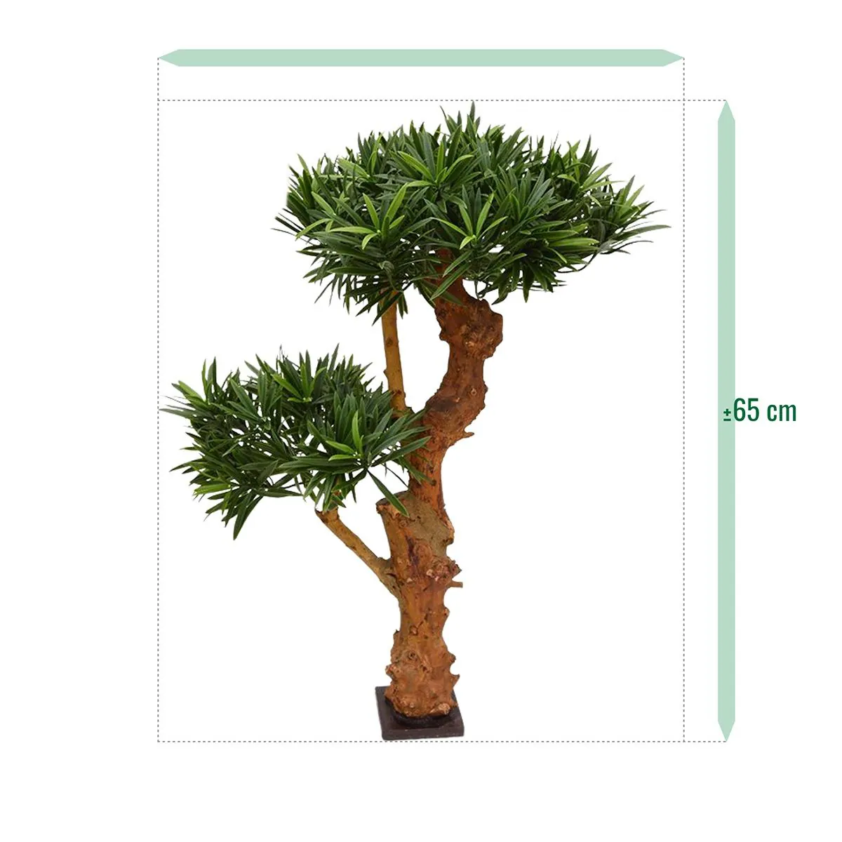 Podocarpus Bonsai deluxe kunstplant, H: 65 cm – UV bestendig
