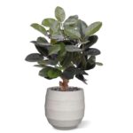 Elastica Robusta kunstplant, H: 95 cm groen