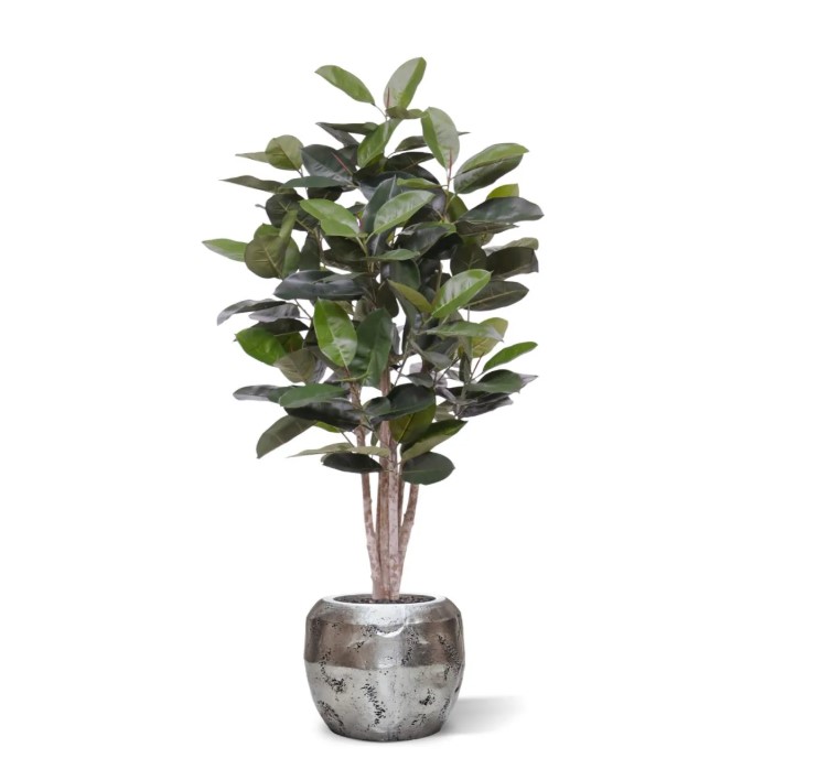 Elastica Robusta kunstplant, H: 170 cm groen