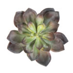 Echeveria Groen H: 15 cm – Kunstplant