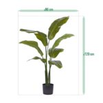 Traveller Palm promo, H: 120 cm