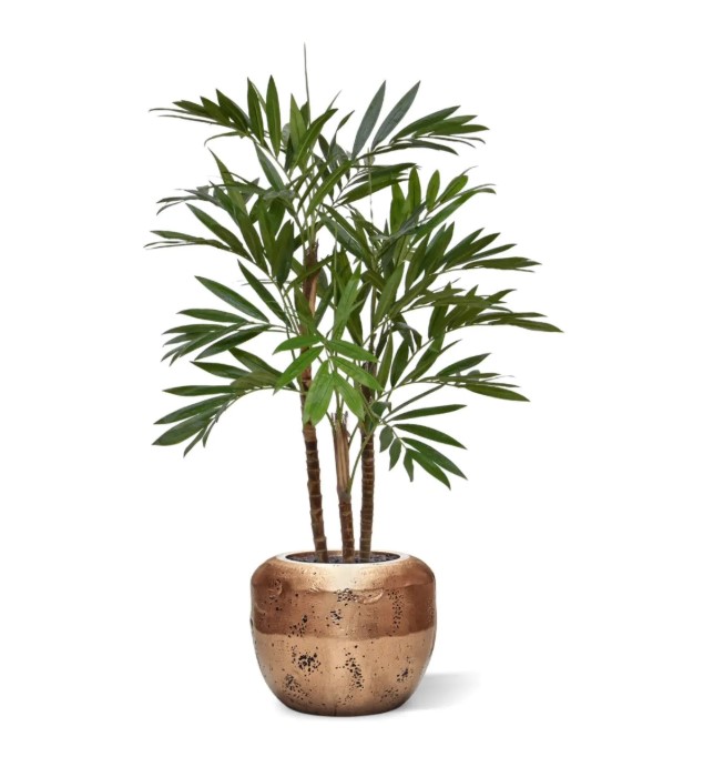 Parlour Kunstpalm deluxe, H: 100 cm