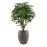 Ruscus deluxe N kunstplant, H: 110 cm