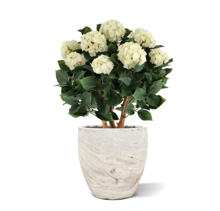 Hortensia UV Kunstplant Deluxe, H: 80 cm Creme