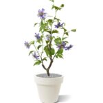 Passie kunstbloem, H: 90 cm – lila