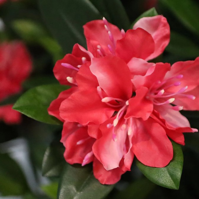 Rhododendron Kunstplant Deluxe, H: 115 cm Cerise